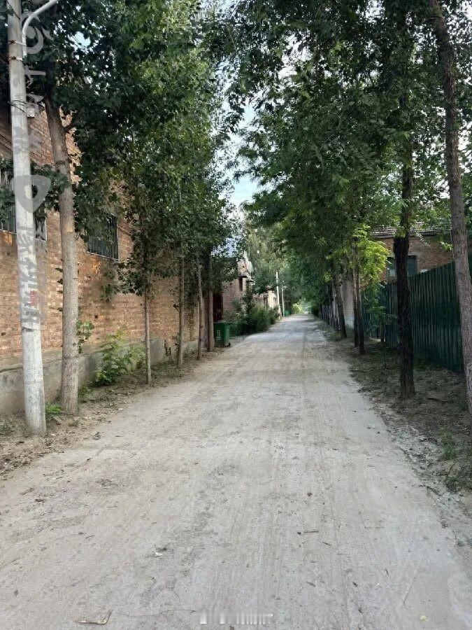 聊城2死1伤案择期宣判【山东聊城一男子疑因精神疾病持刀行凶致2死1伤，庭审播放其