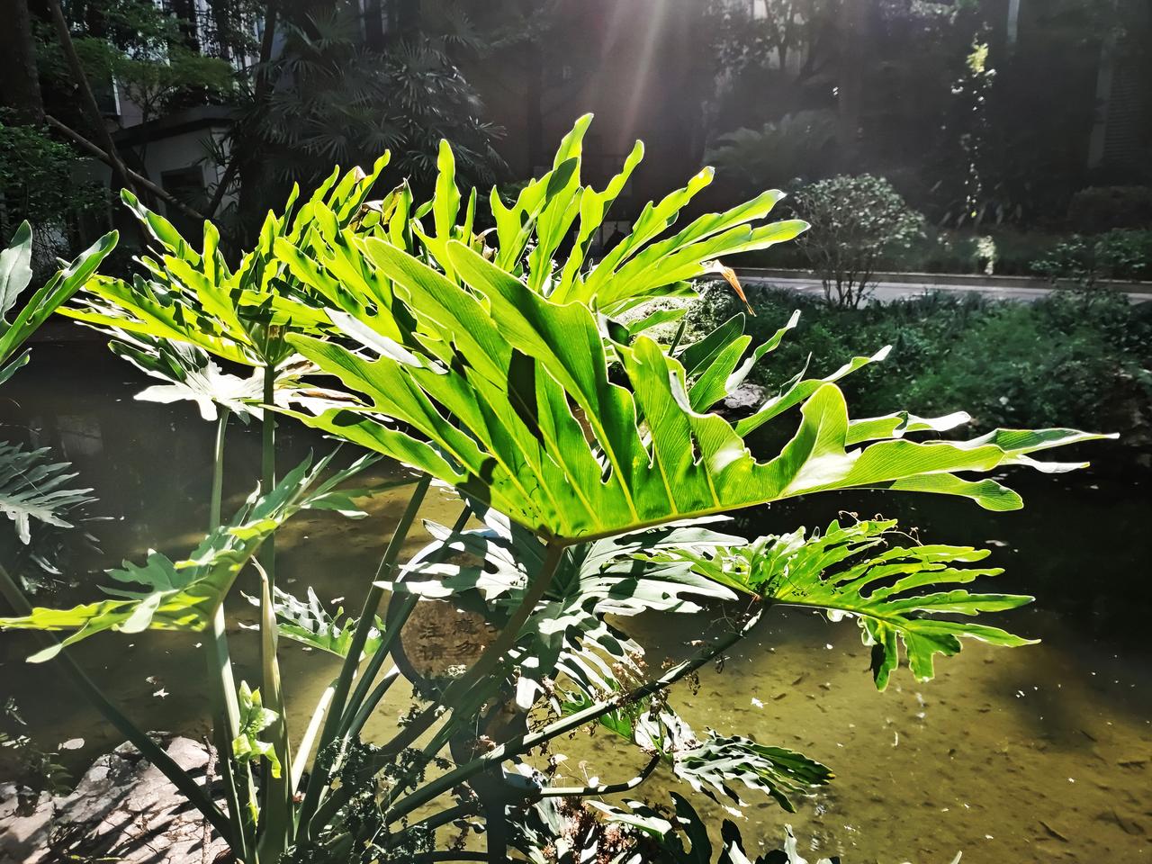 夏天最美的色彩和风景

莫过于此

你以为如何