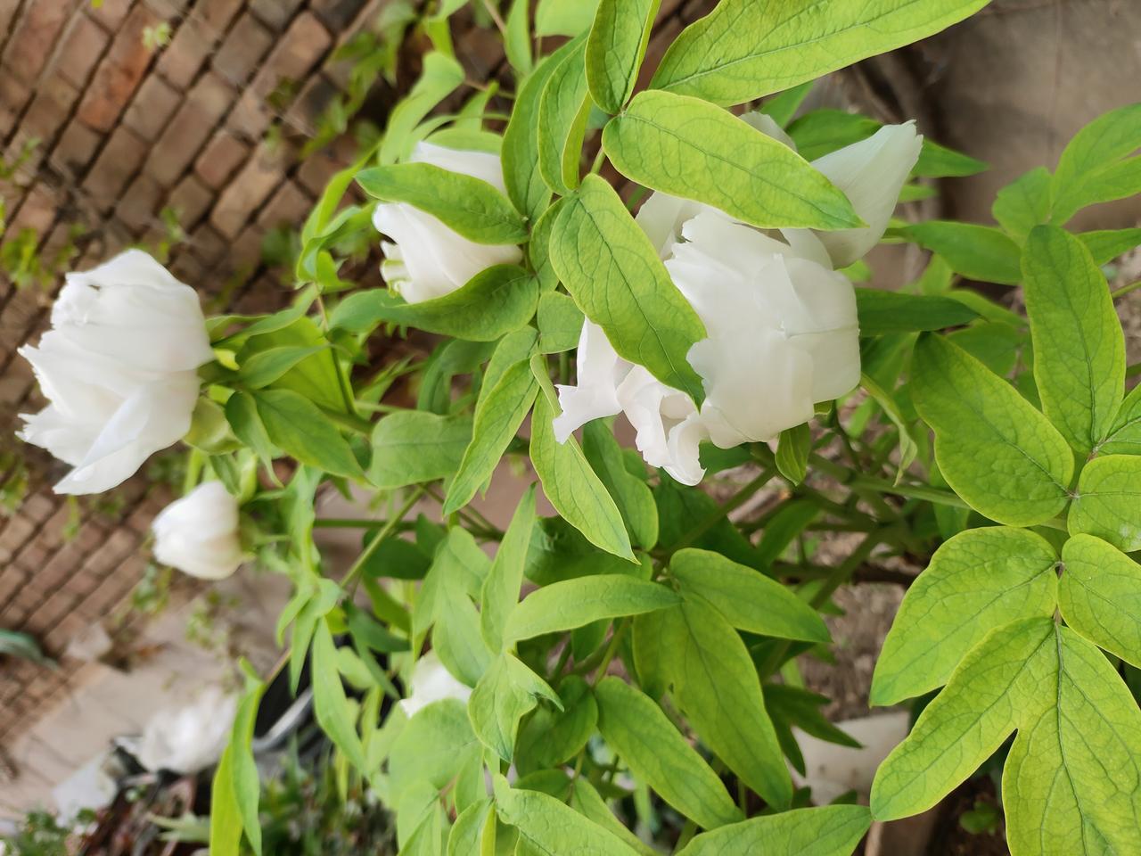 半生已过，不再奢求大富大贵，只愿日子安稳，内心平和。悟透了人间百态，就不再抱怨生