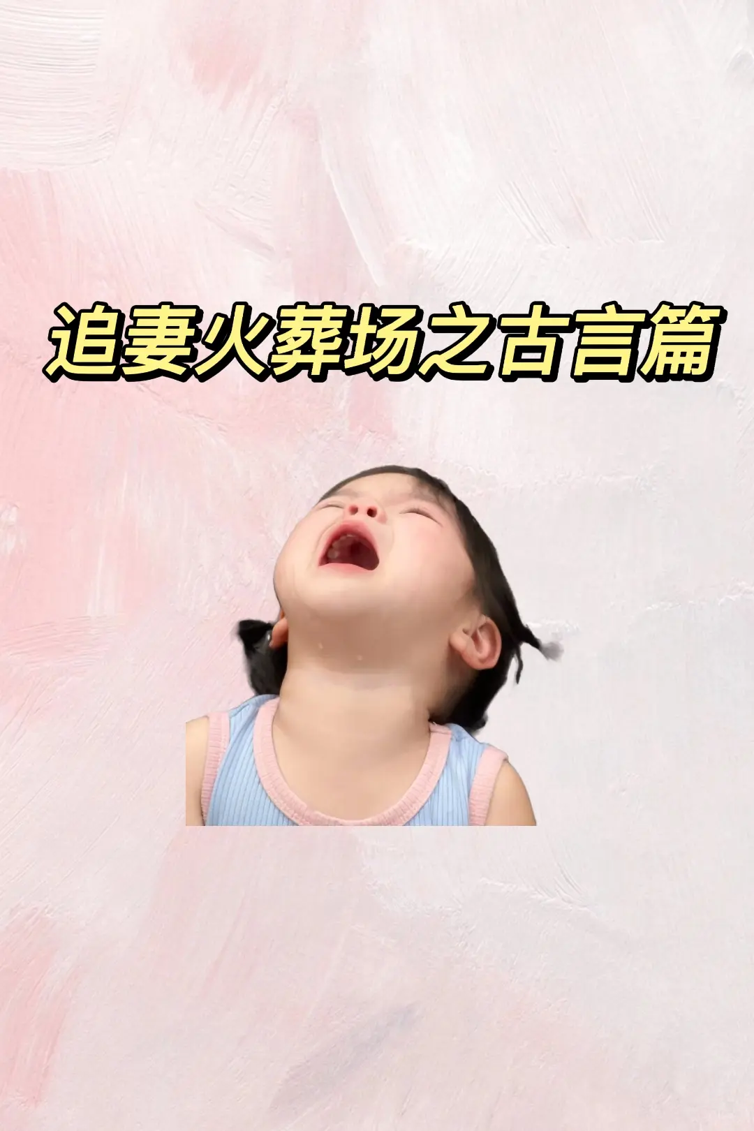 追妻文之古言篇。
