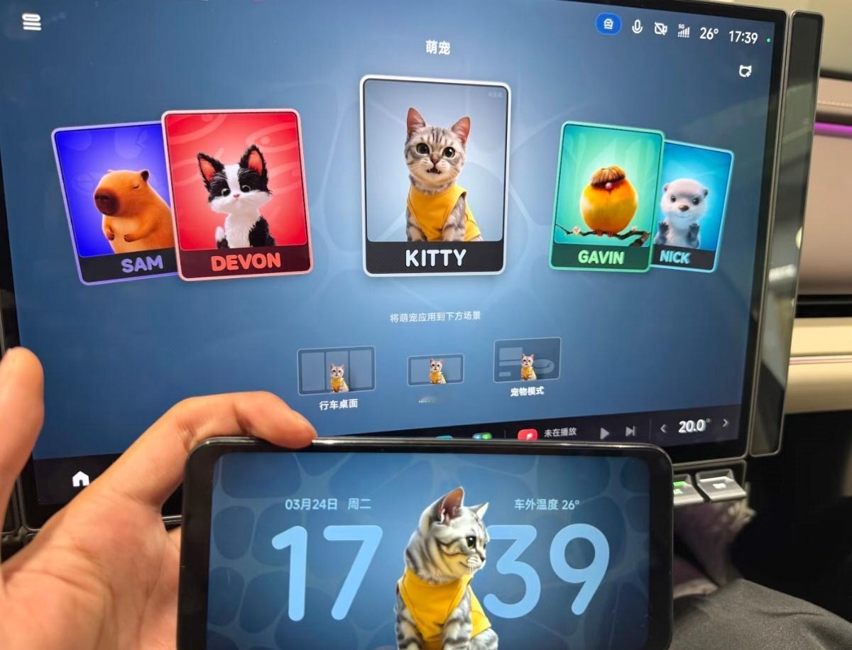 都说养宠物，是给未来的自己埋下一颗悲伤的种子。但和宠物在一起度过的日子，治愈、美