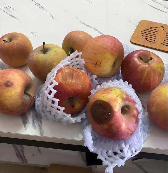 今天和老公的姑姑彻底闹掰了，我也真正明白了什么叫做人心不足蛇吞象。
我们两家在一