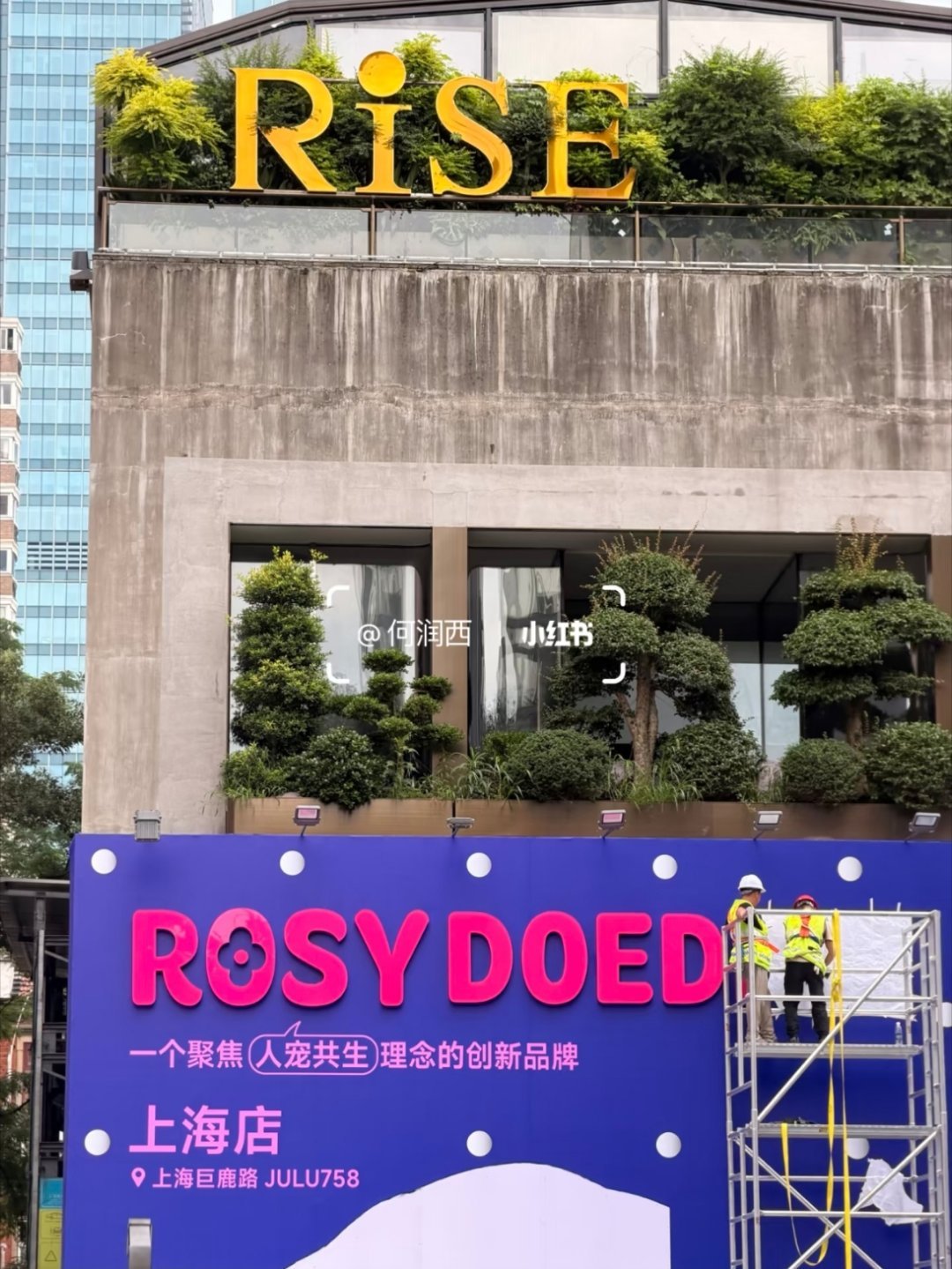 RDD的主题实体店要来了！！！ 