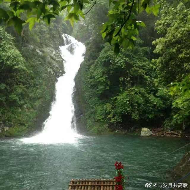 千万不要在垃圾堆里证明自己，一定要把自己养的好一点，好到任何人靠近的时候都要掂量