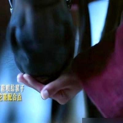 把骡子嚼过的红糖抠出来，直接塞进重伤员林锦岐嘴里。

谭松韵演的乡野丫鬟许兰香，