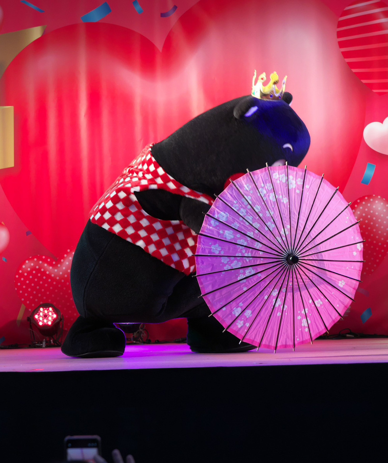 #随手拍接龙#听说转发可以抽红包，试试～ ​​​