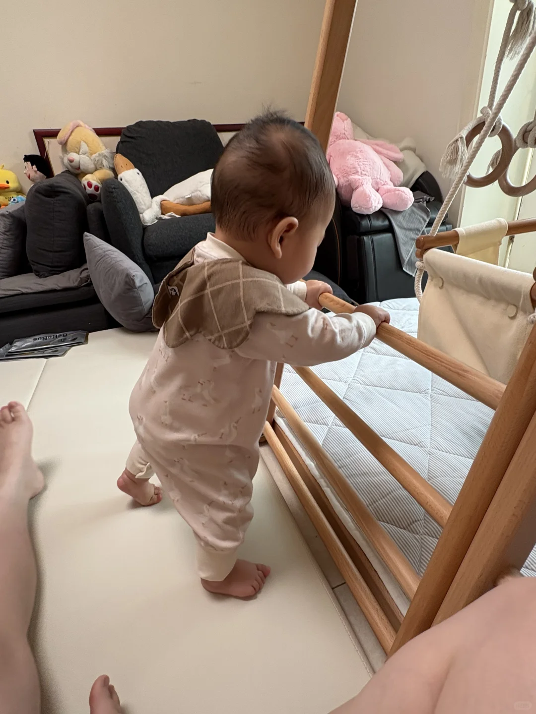 七月龄的宝宝都养的怎么样啦