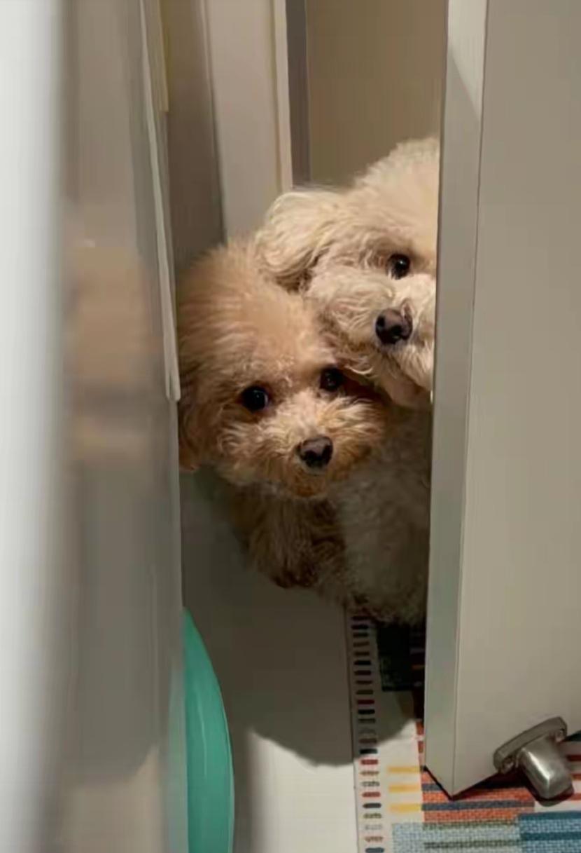 自从开了学
咱的日子不好过
5点起来做早餐
晚上陪到12点
卷纸他做不完
爹妈着