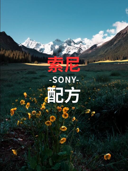索尼用户都给我学❗️调好参数嘎嘎出片❗️