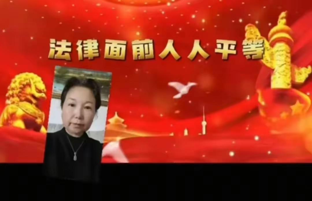二八换子事件，许敏追查真相。追查真相路上，也进行了反网暴。对侮辱诽谤她的人，许敏