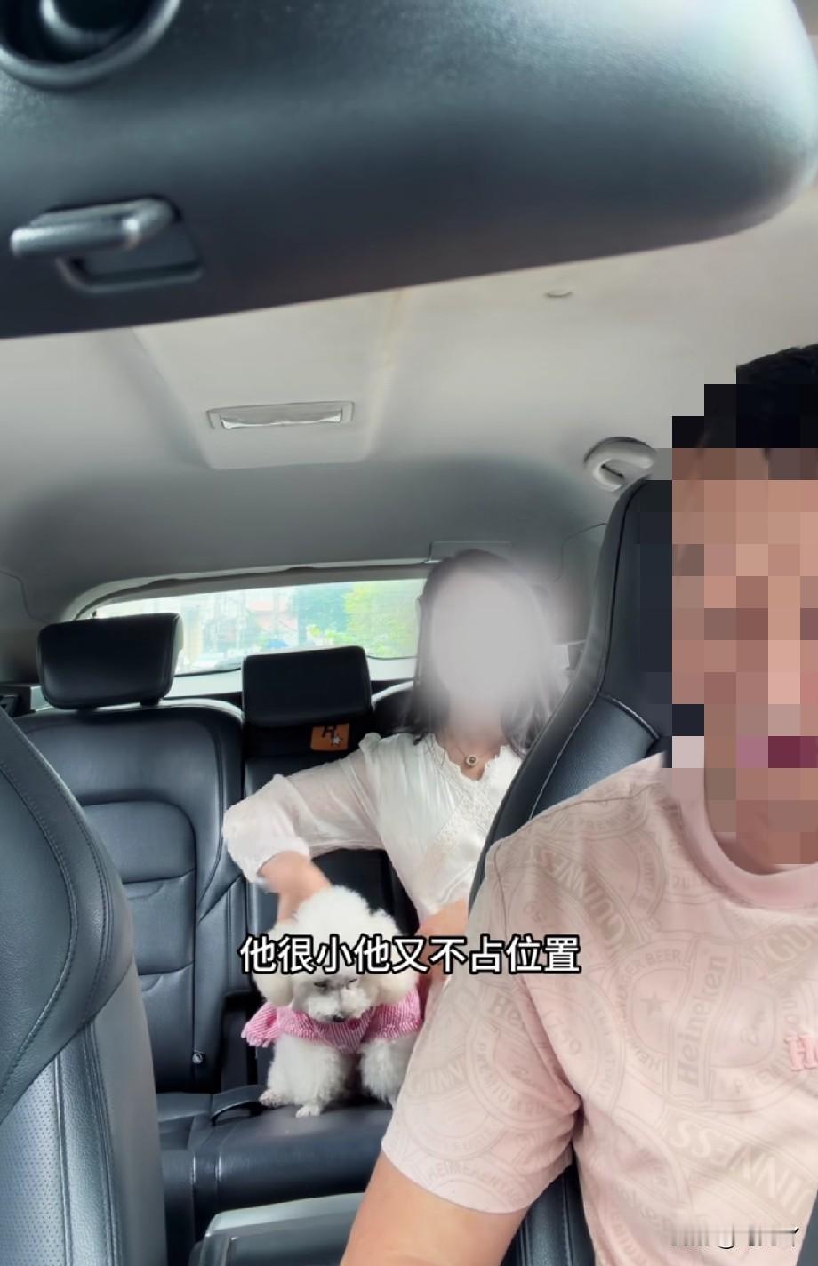 带宠物狗坐网约车被撵下去，养狗女子竟扬言要投诉司机！

李师傅是浙江杭州的一位网