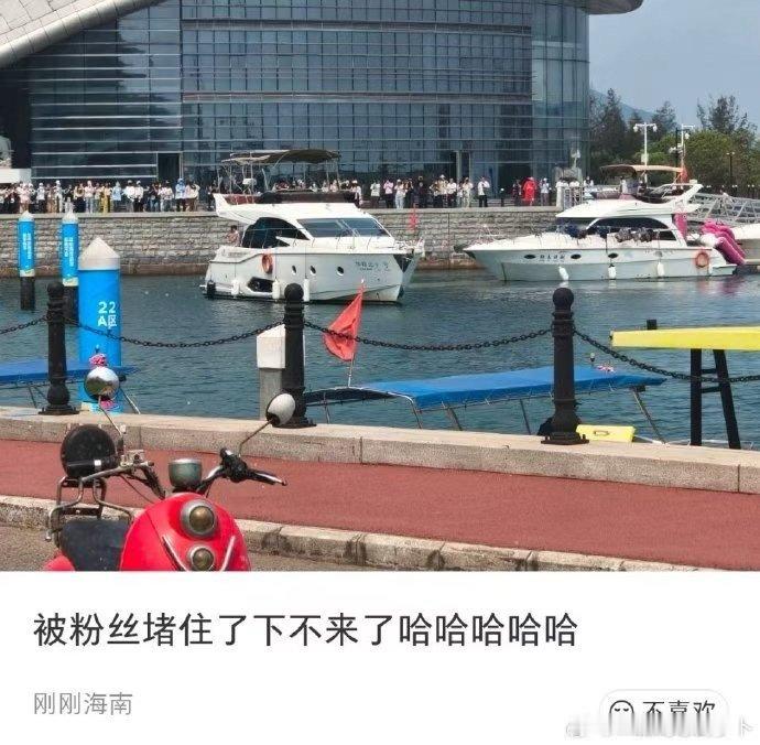 觉得压力大的可以看看TF四代TF四代版人在囧途  觉得压力大的可以看看TF四代，