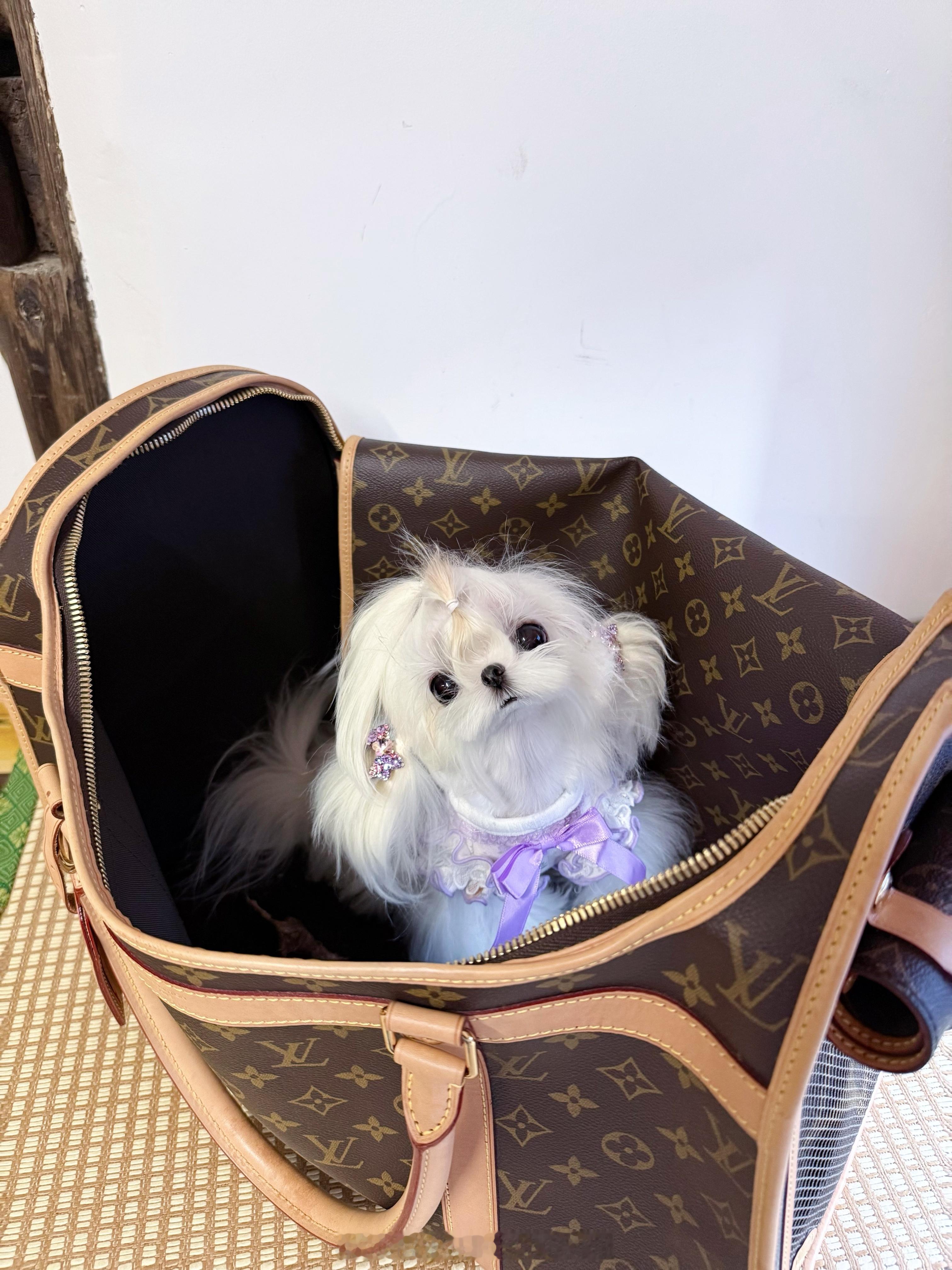 咦呀！真的好像小宝宝🐶💕 ​​​