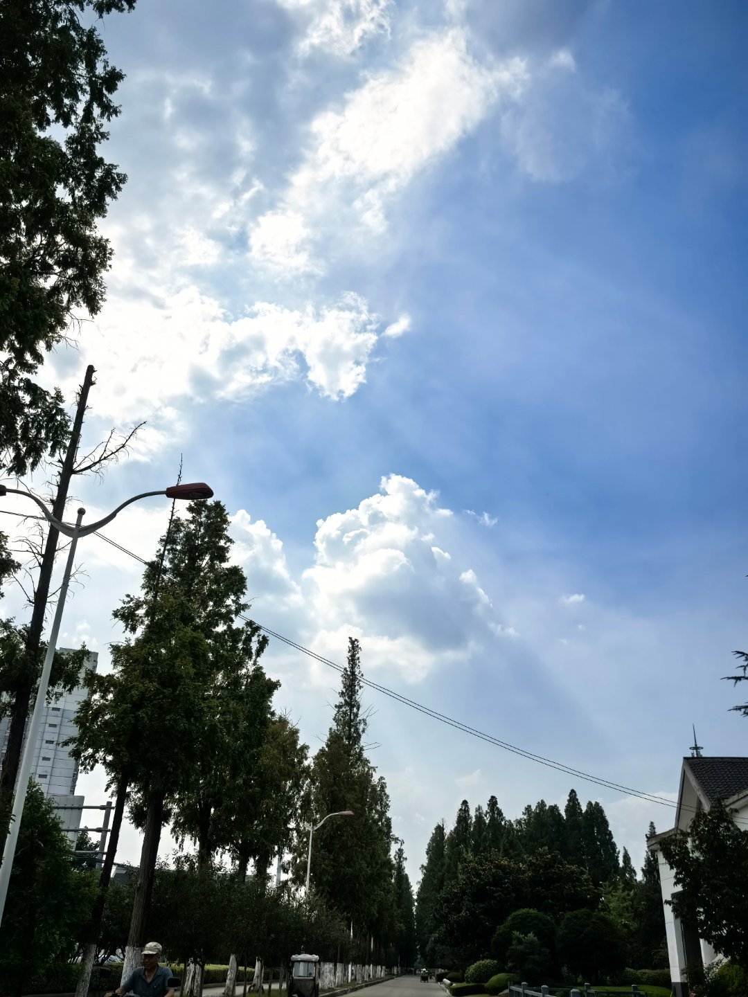夏天就要晒镜头夏天既是晒出镜头下美好瞬间的狂欢季，也是相机和手机镜头最脆弱的高危