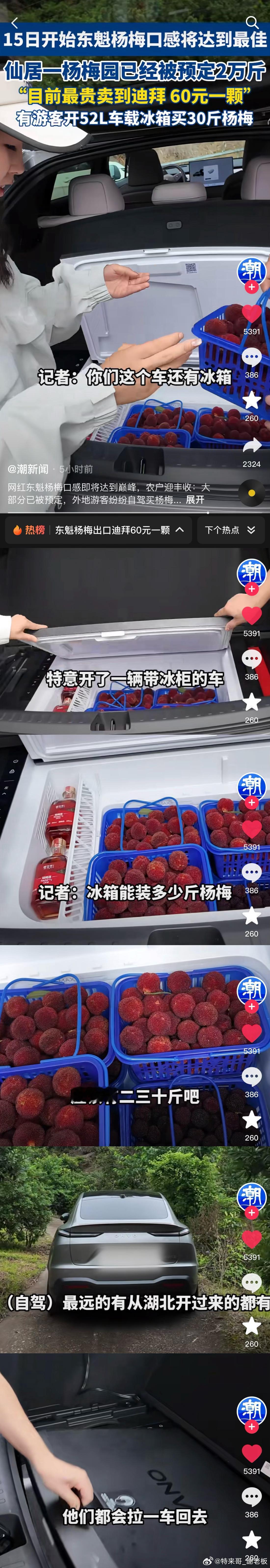 浙江杨梅卖到迪拜 60 元一颗，火出圈！乐道L60成自驾抢鲜“移动保鲜库”浙江东