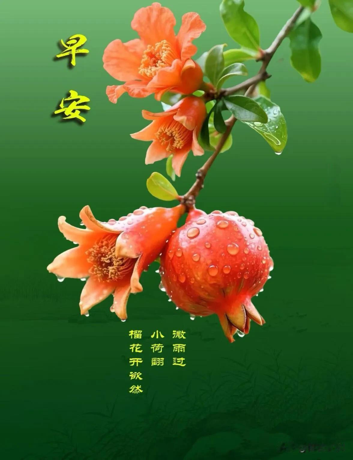 清晨暖阳如约而至，愿美好与温柔，整日都伴你身旁。
美国企业访华 全球扎堆访华