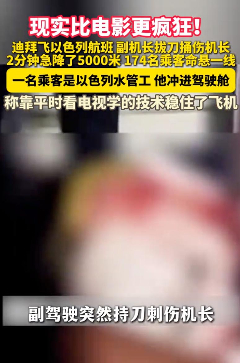 一名英勇的水管工，阻止了一场中东版 “9・11”？

9月30日，迪拜航空FZ1
