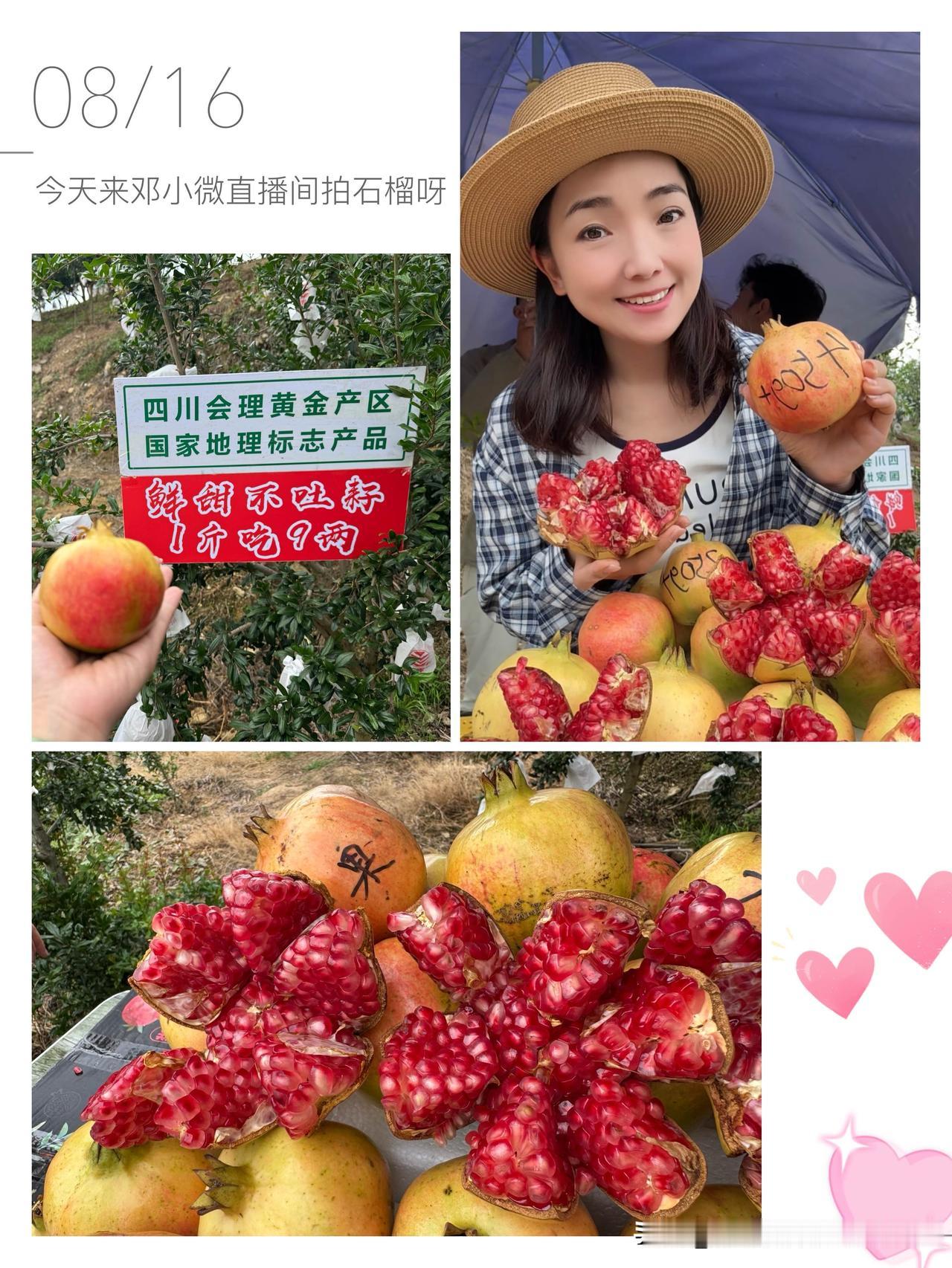 邓小微回到家乡四川了，今天给大家分享会理突尼斯软籽石榴，现摘现发的石榴不要错过哟