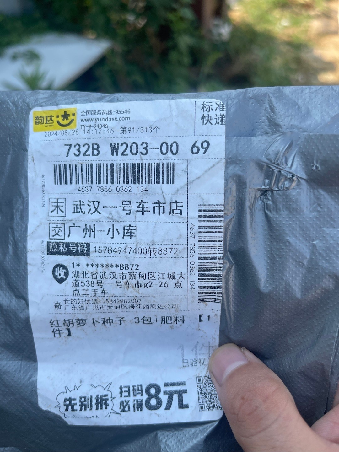 九月一号 学生陆陆续续开学红萝卜种子到了 我们准备开始种地坐等红萝卜成熟，待大家