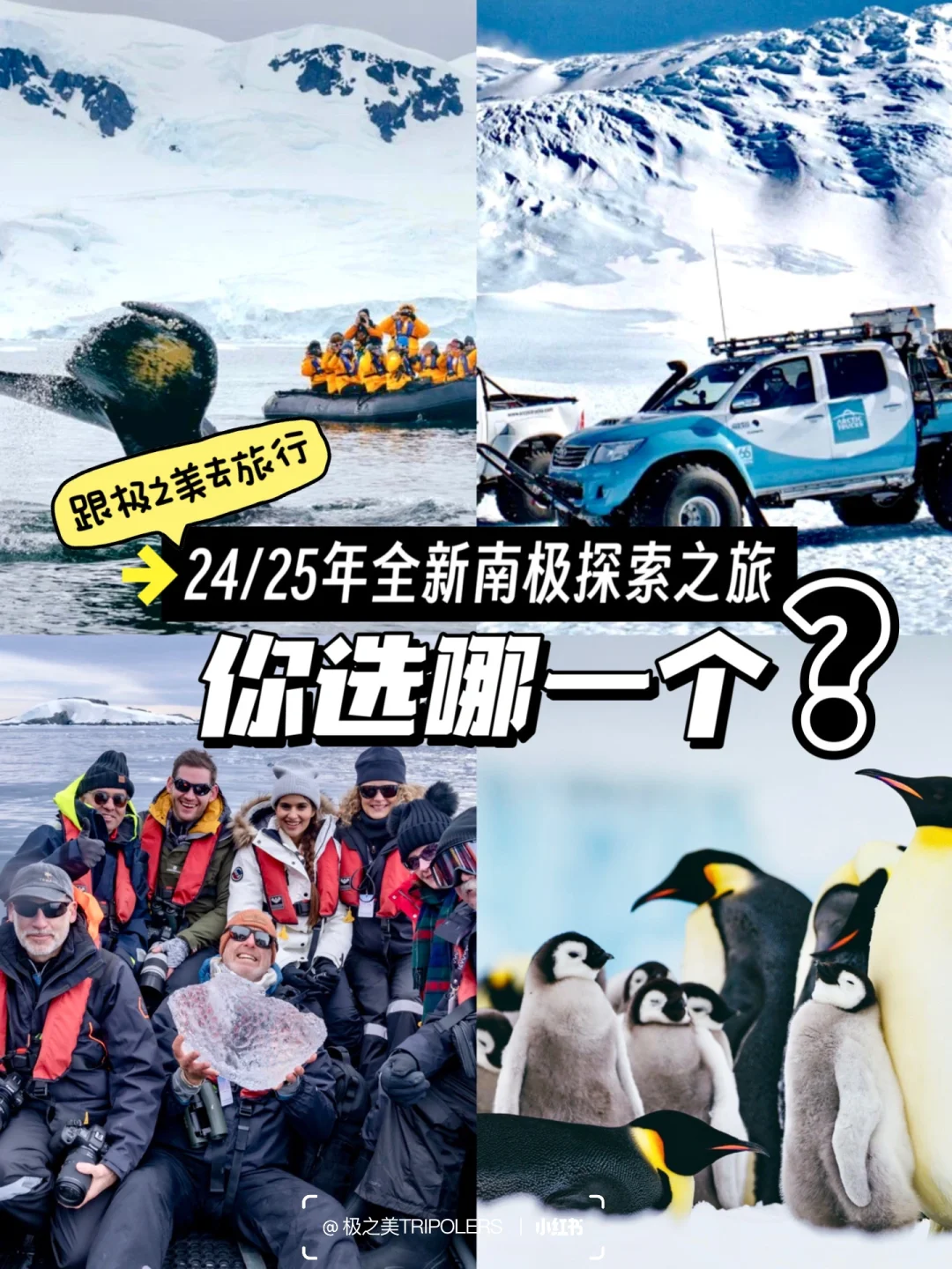 2024/2025全新南极探索之旅，你选哪一个？