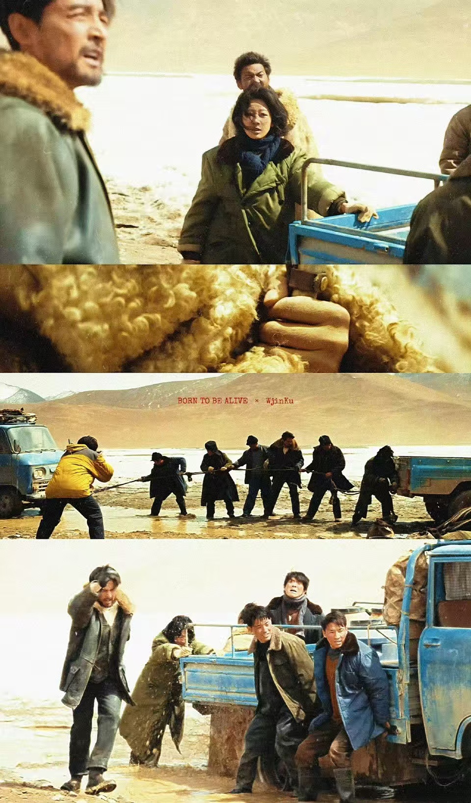 倍速病被生命树治好了没想到《生命树》有这功效，专治“倍速病”。简陋的拼色桌，队员