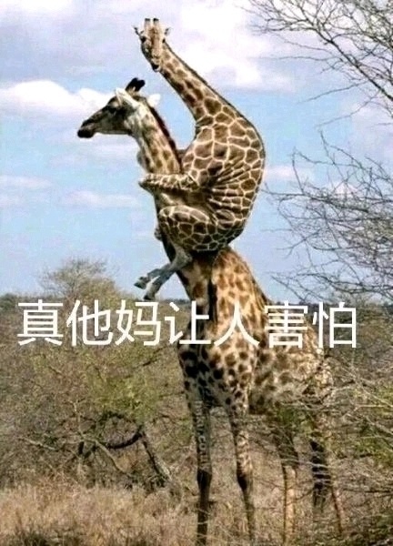 中国女权们支持耽美，支持海棠小作家这黄文，然后又TM天天口里说被人男凝，就这种，