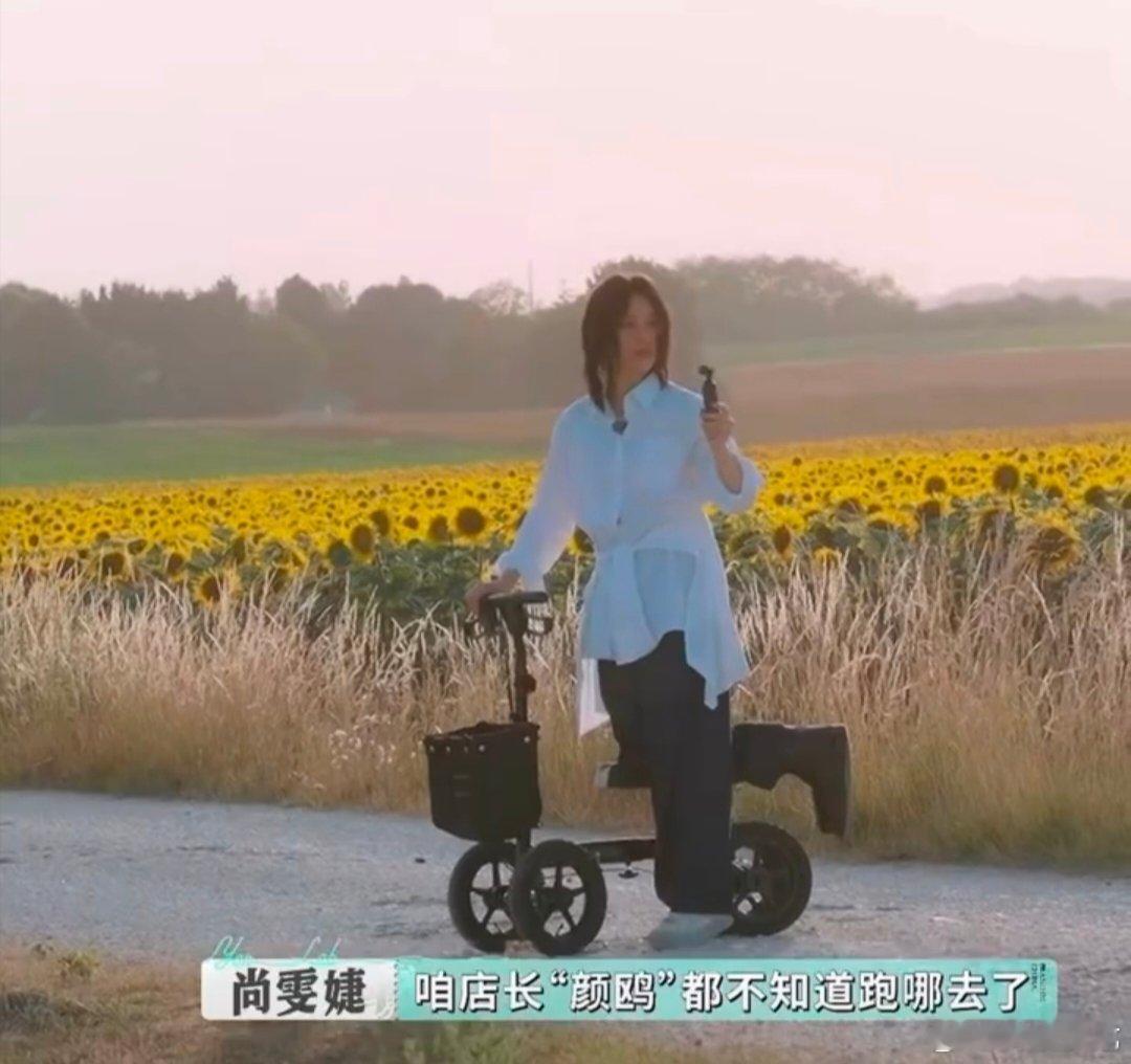 尚雯婕颜安咋这么好笑 巴黎合伙人 谁还没看！向日葵地里颜安摆拍，尚雯婕骑车转悠，
