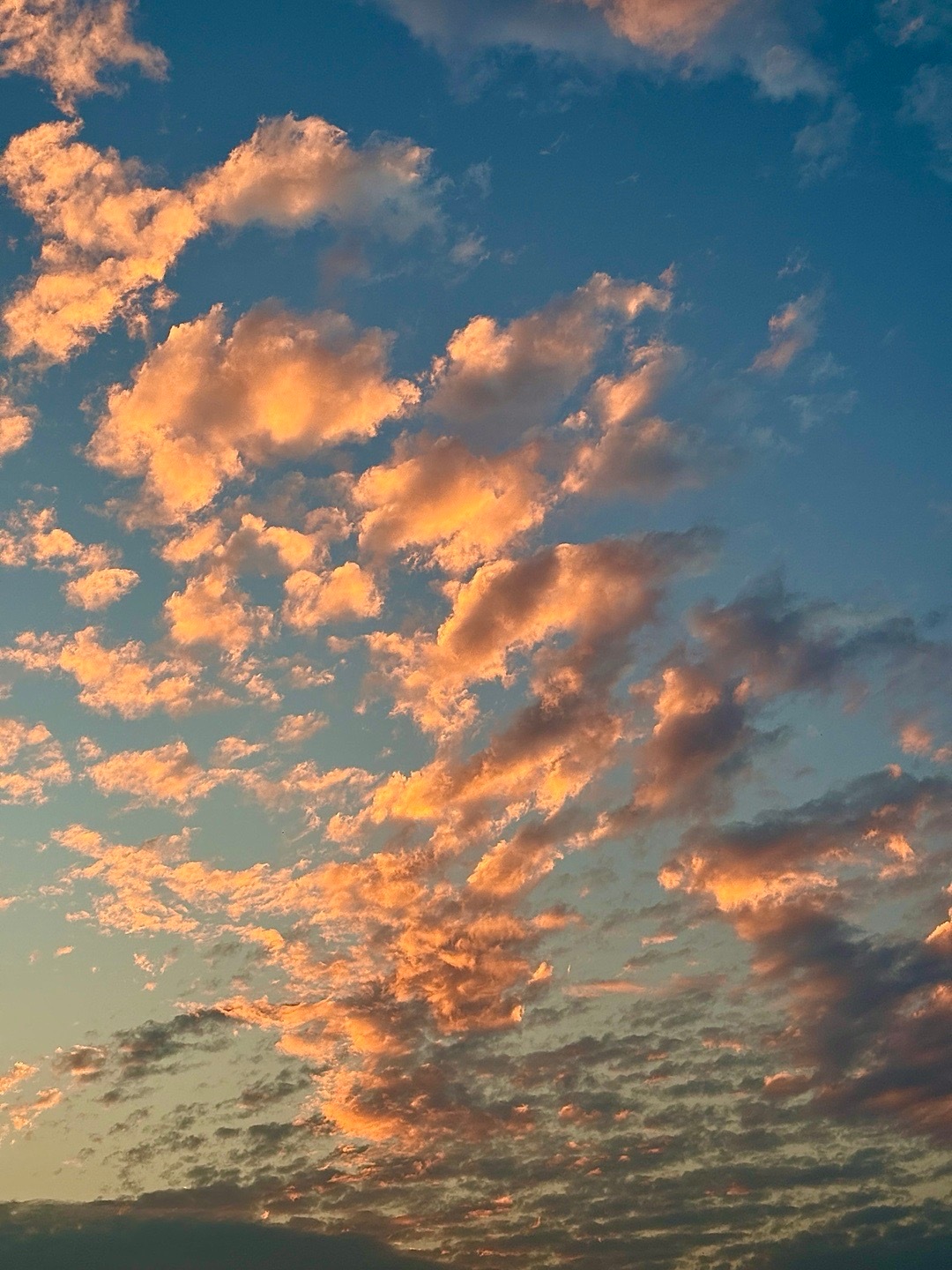 答案在时间里，耐心是生活的关键，找不到答案的时候出去走走 