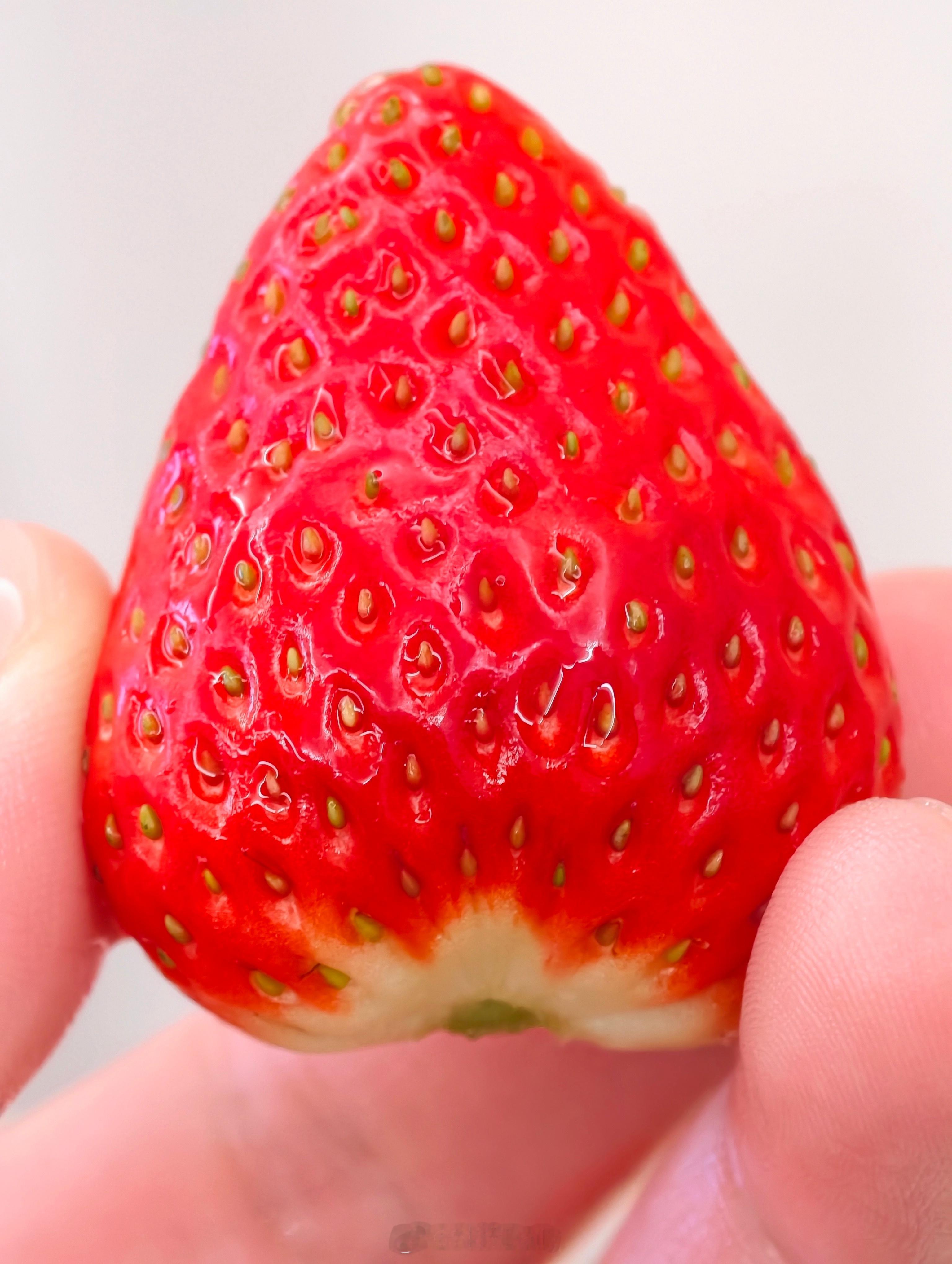 朋友们，吃草莓的季节到了。