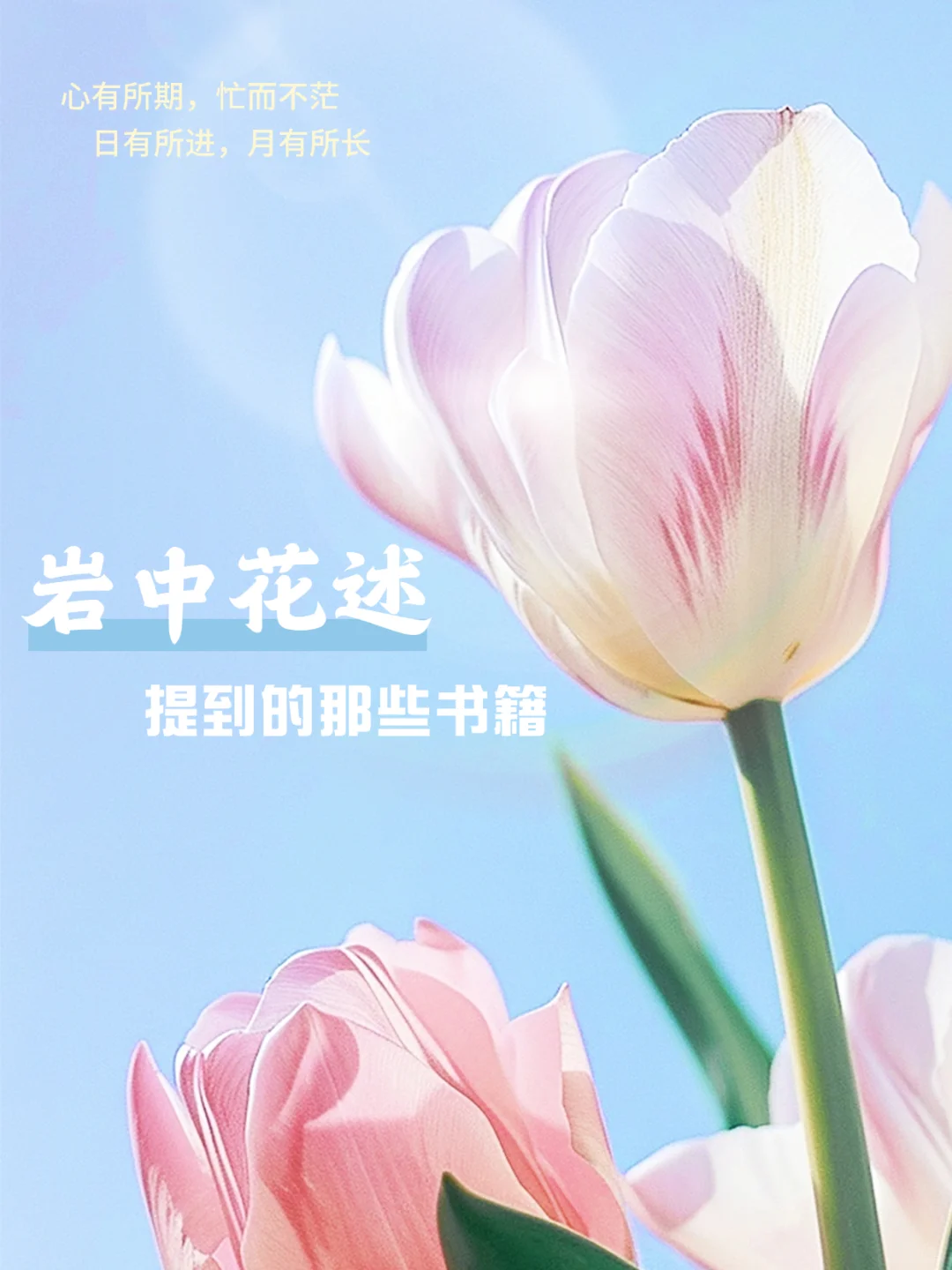 岩中花述札记①：打开精神食粮以提升内核