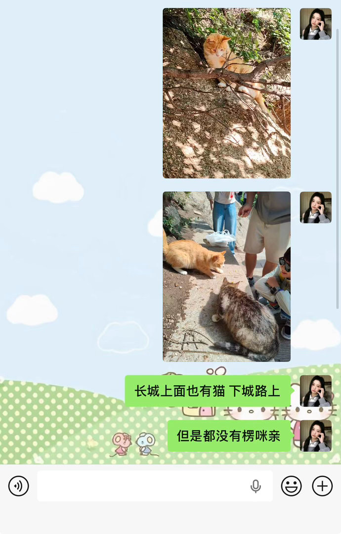 想出去玩但也想回家 