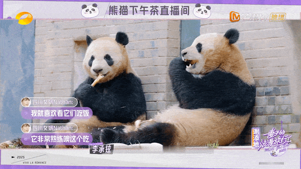 李承铉阿诺 外国人学不会嗑瓜子妻子的浪漫旅行 哈哈哈哈哈没想到李承铉阿诺竟然都不