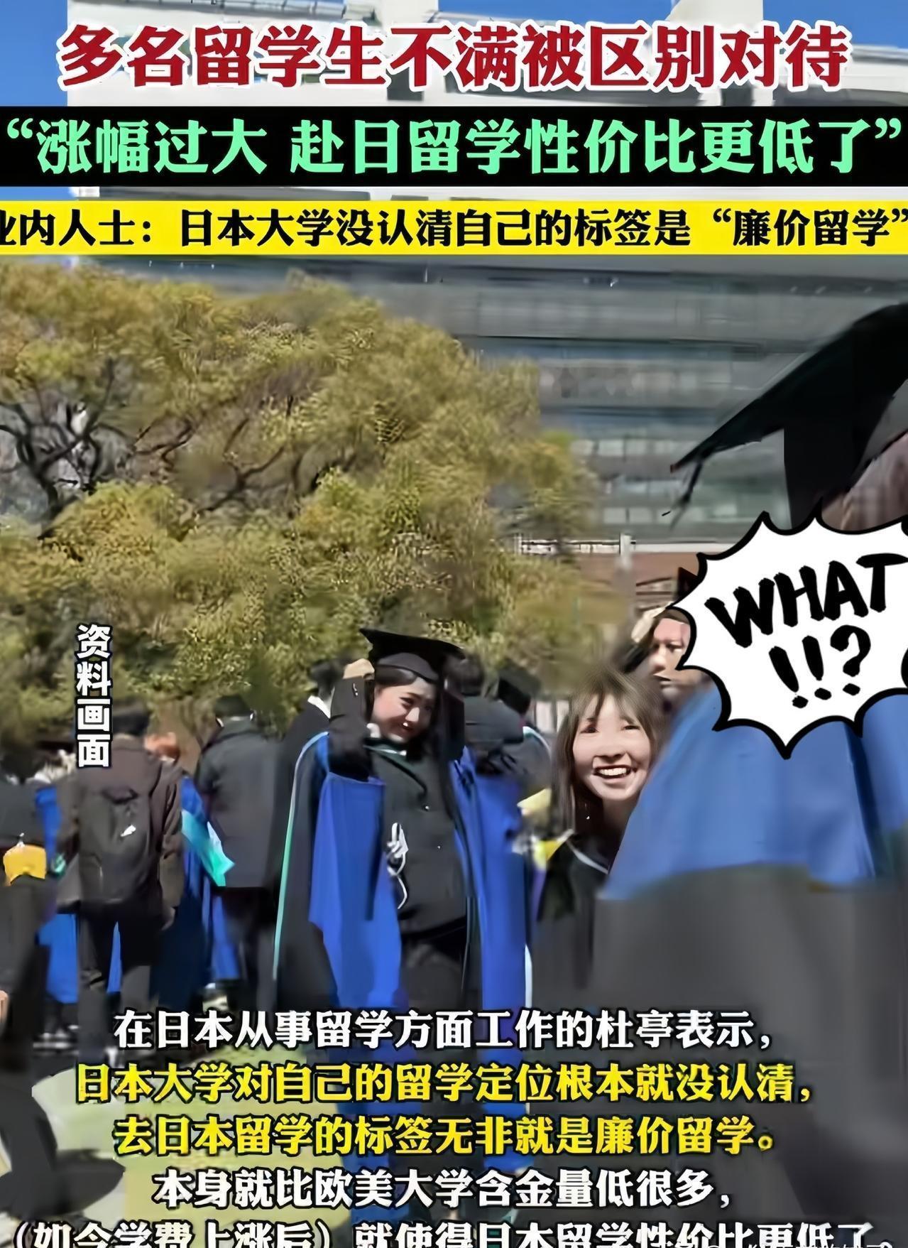 日本东北大学这次涨学费，像是算准了留学生的沉默。

中国学生占在日留学生近一半，