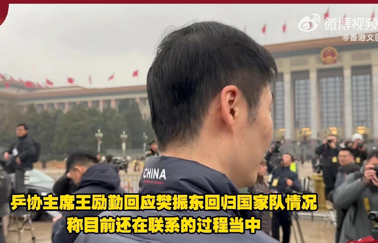 热议||王励勤就樊振东归队一事回应称：仍在沟通联系中。

樊振东凭借全运会冠军已