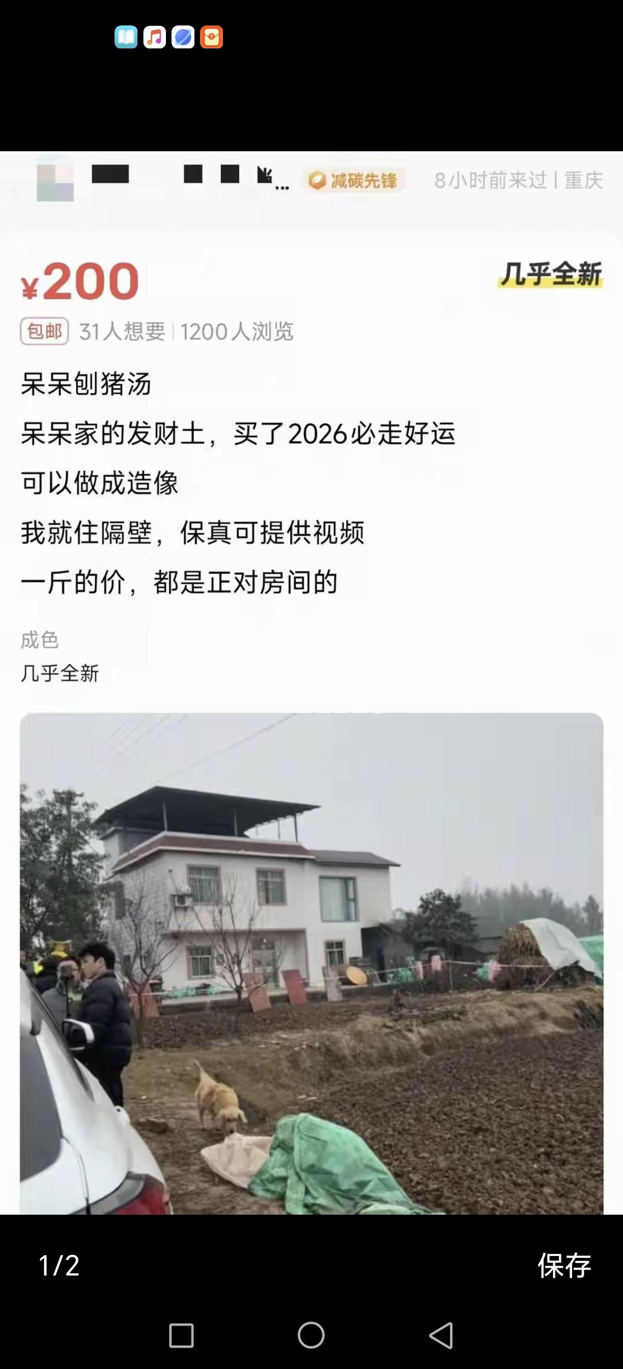 愚蠢，疯狂！呆呆家泥土竟然成了宝贝，被人在网上公然叫卖！几百块不等，这是看着呆呆