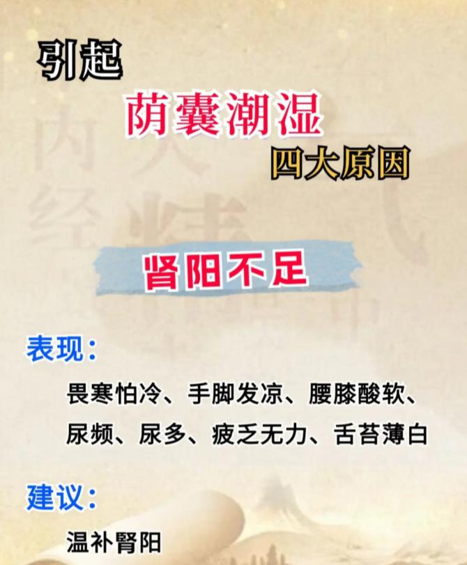 引发下焦湿热相关问题的四大诱因