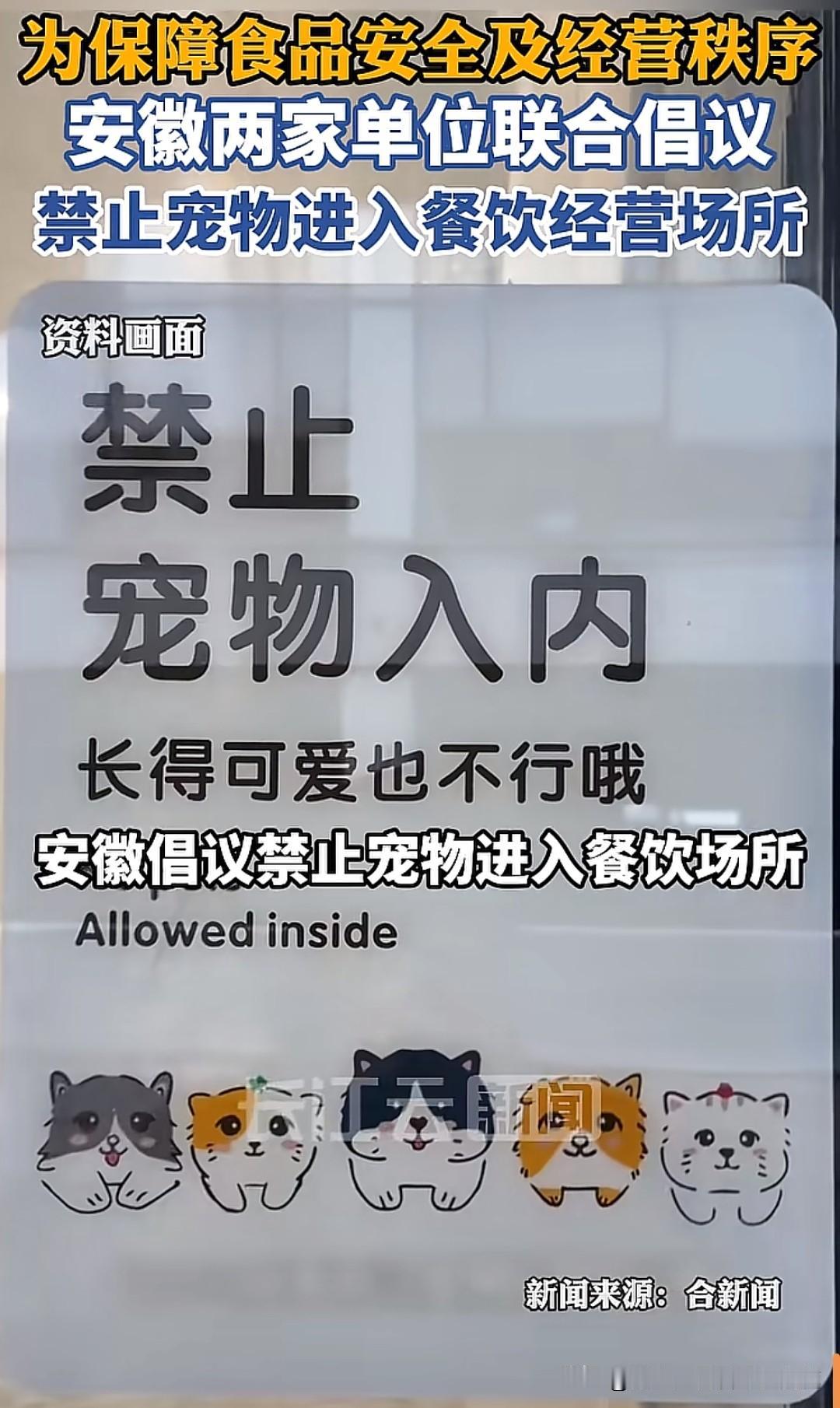安徽开了个好头，两家单位开始联合倡议禁止宠物进入餐饮场所，可爱的也不行。现如今，