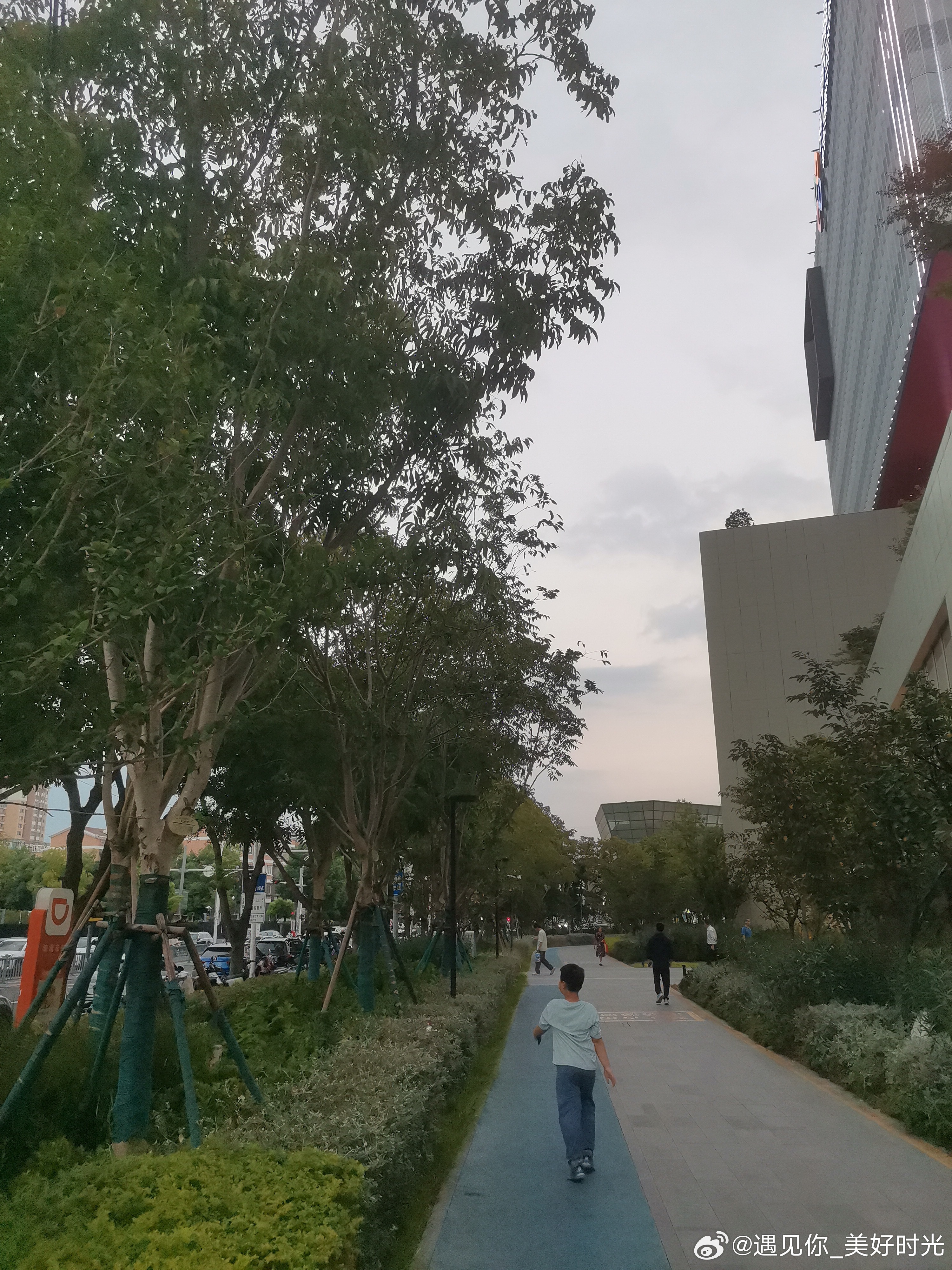 本出来走一走，在外面找个地方坐一会，没想到蚊子太多了，还是找个地方吹空调吧 ​​