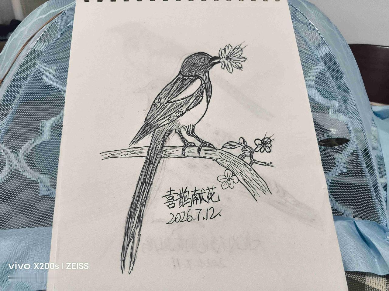 我的今日状态：😁轻松愉快
我这里的天气：☀️晴天：喜鹊献花，喜上加喜，下图是闲