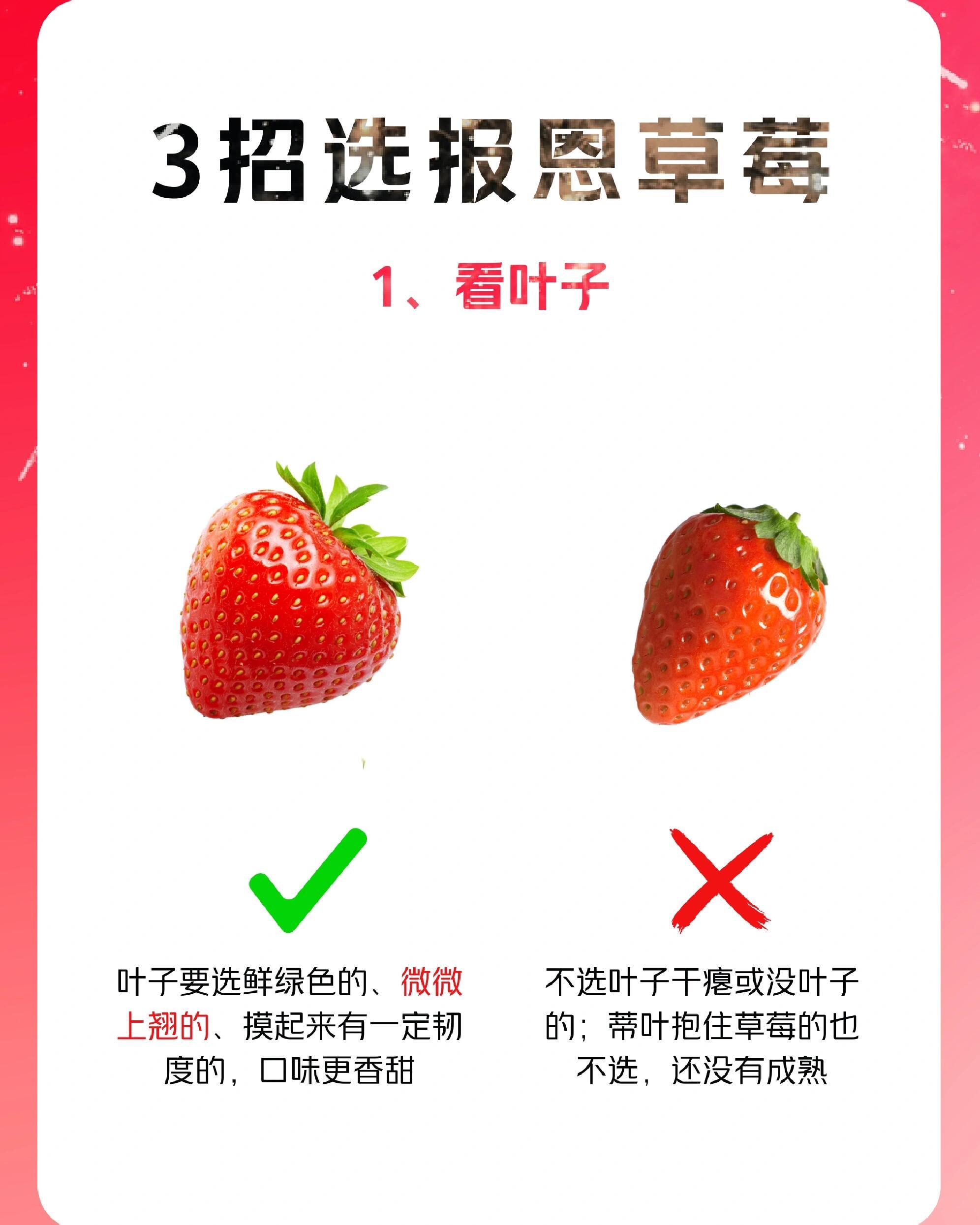 水果店老板绝不会告诉你的㊙️密🍓正确挑选草莓方法来了，记得发给家人[笑哈哈] 