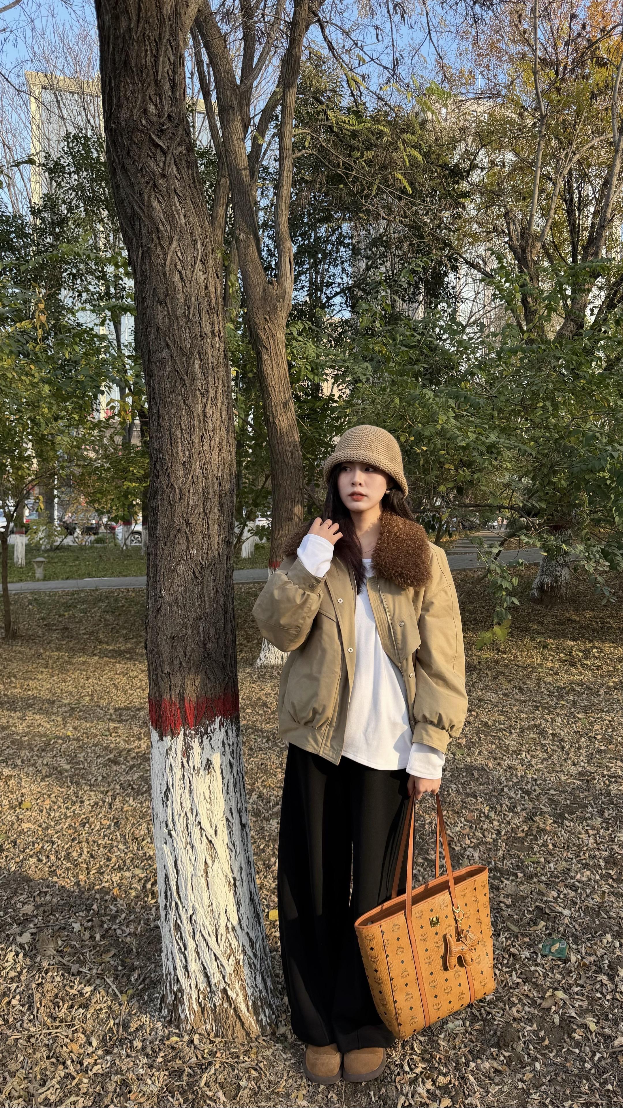 在这个落叶下雪的季节.