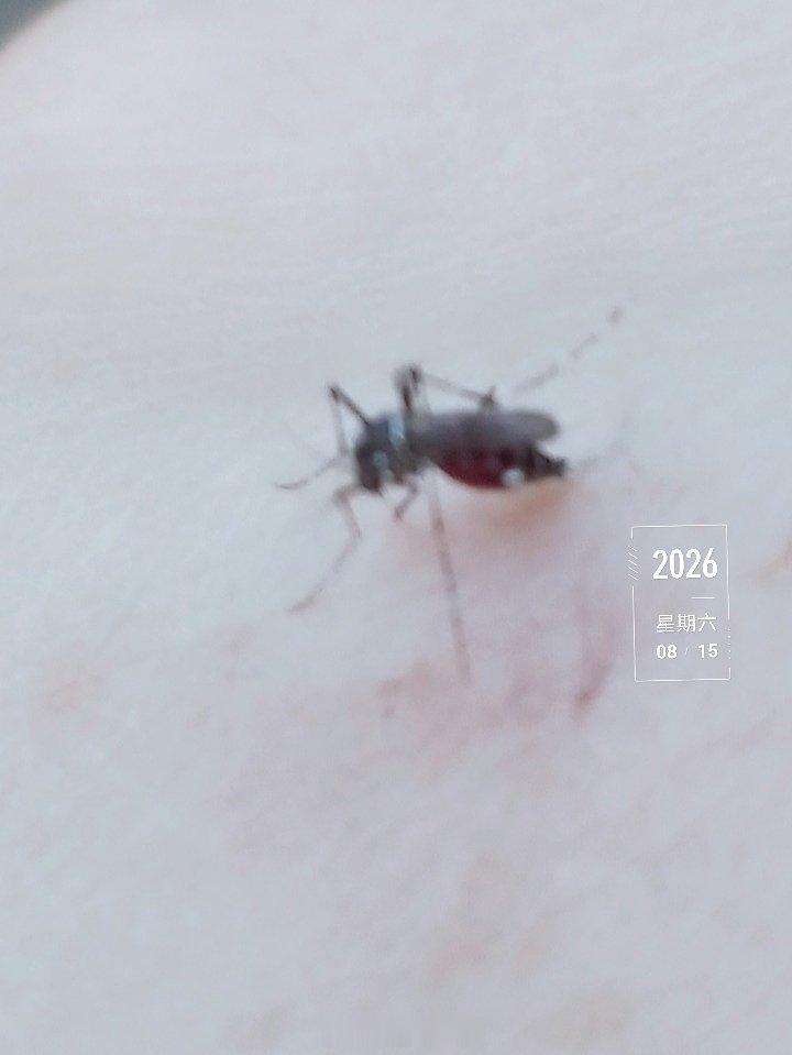这算是爱它吗？那就让你满足，我忍着吧 