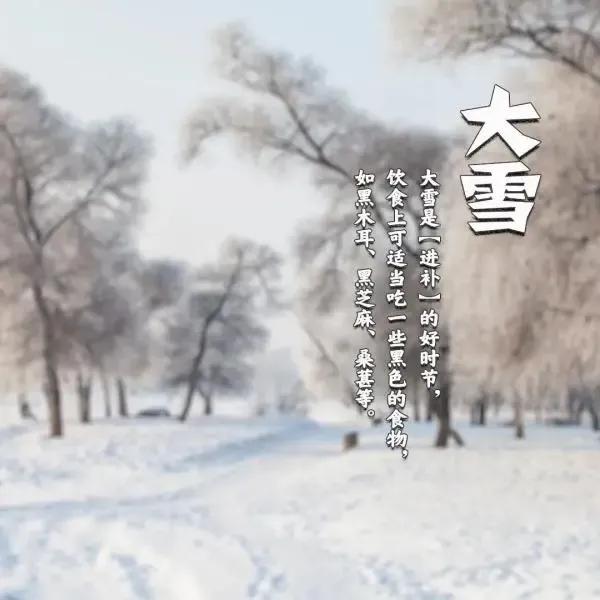 大雪却无雪！
记得去年的11月底，天津下了一场大雪，虽然没有留住几天，但还是让大