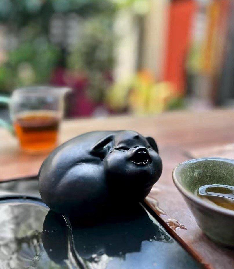 大城市里有个带庭院的房子，不需要很大，有天有地有花园有茶室，也可以很安逸与幸福。