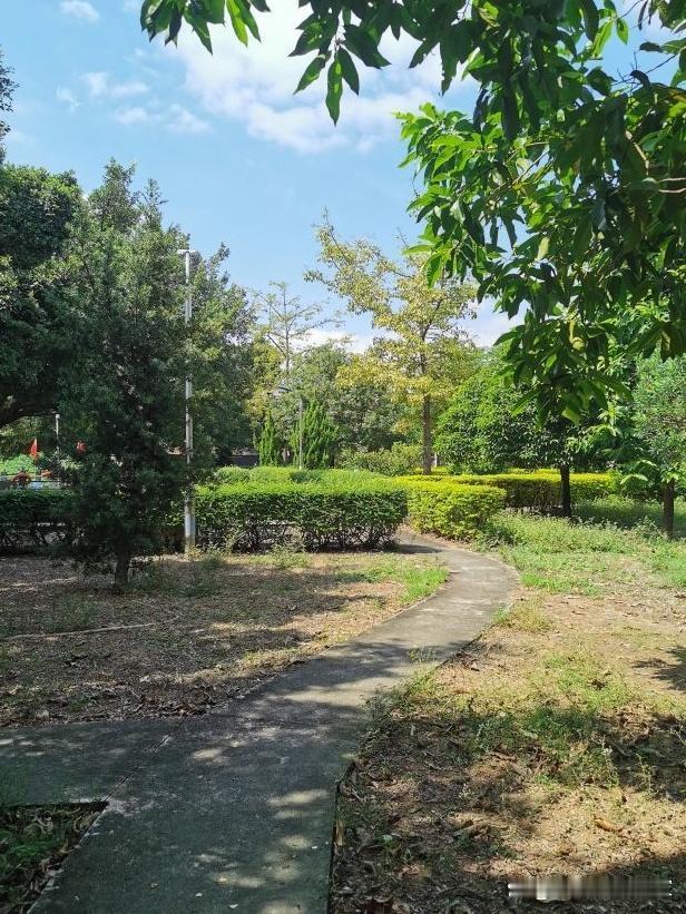 🌿春日漫跑指南｜私藏海景公园打卡路线

被问爆的宝藏跑步地终于整理出来啦！趁着