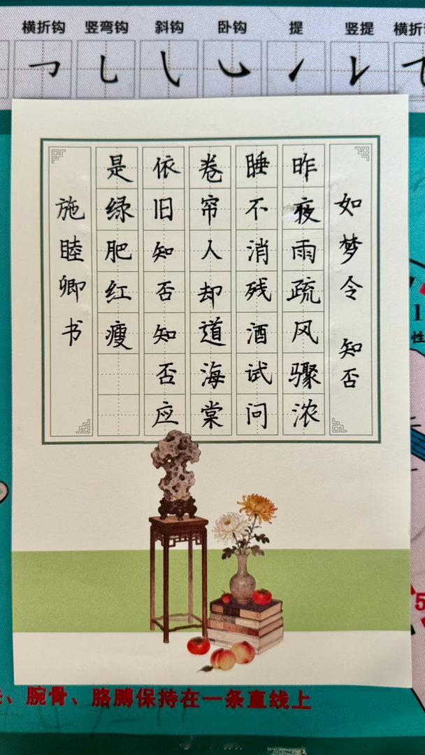 秀丽笔初体验