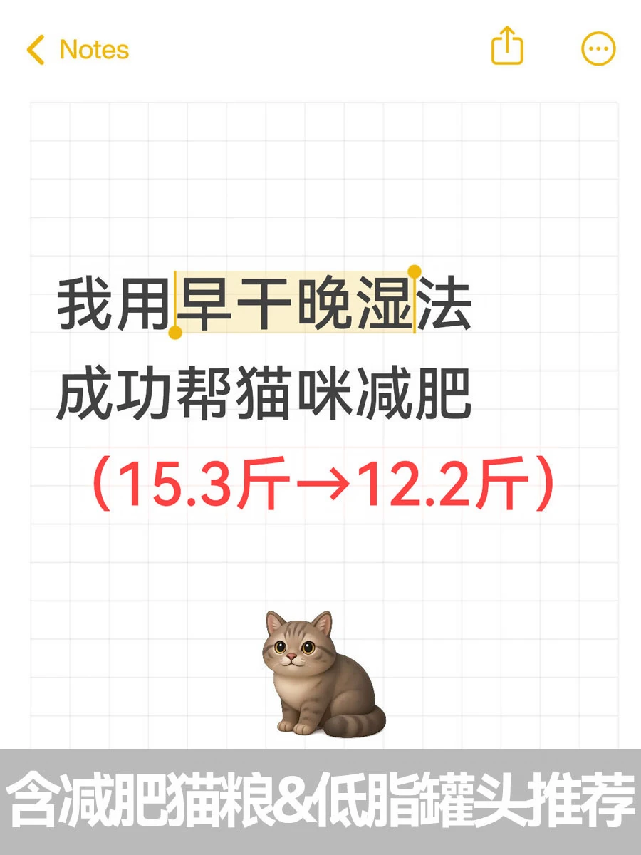 猫咪减肥15.3斤→12.2斤！早干晚湿真的有用