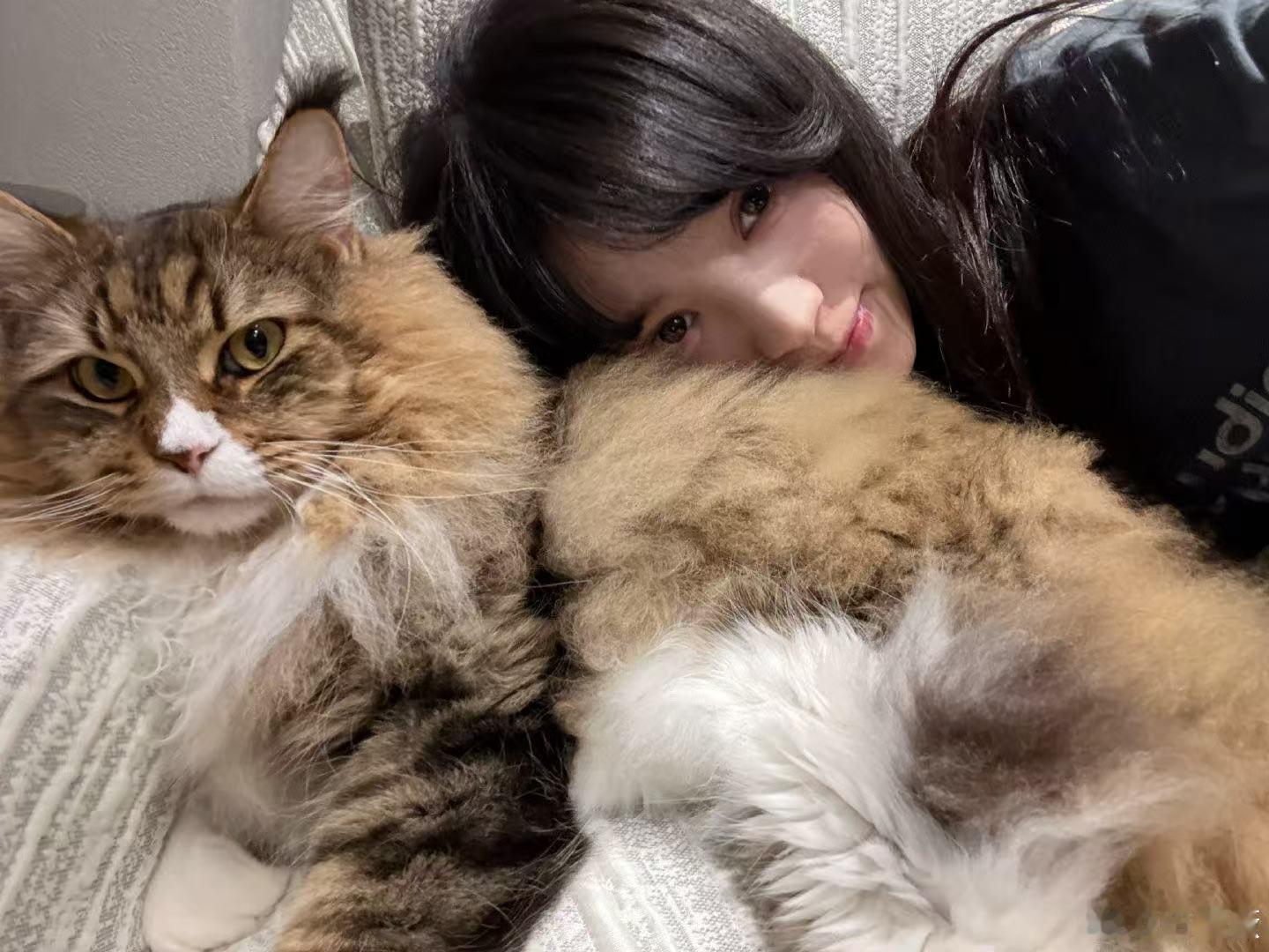 田曦薇拼图日常照田曦薇晒日常plog 田曦薇分享九宫格拼图，好鲜活可爱的日常照，