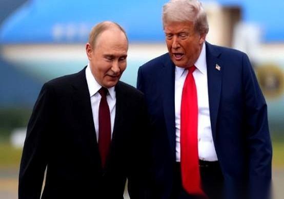 好家伙，我算是看明白了。
别再信什么“24小时让俄乌停火”了，那根本不是鸽子衔来