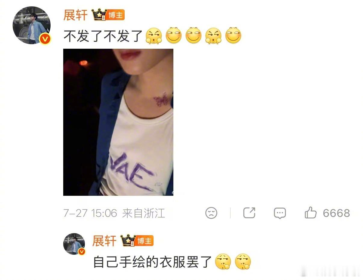 展轩看许嵩演唱会自制应援服展轩追星许嵩成功 成功打卡偶像许嵩演唱会后，展轩晒出9